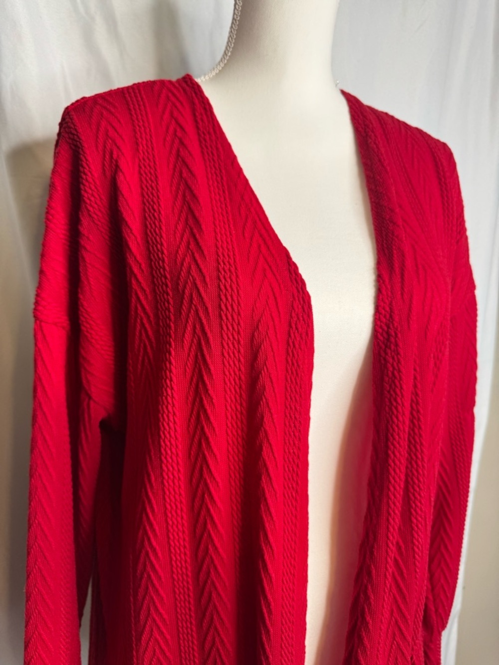 Pantalon Red Textured Open Front Cardigan Sweater Large Oversized Pockets NWT - Picture 3 of 11